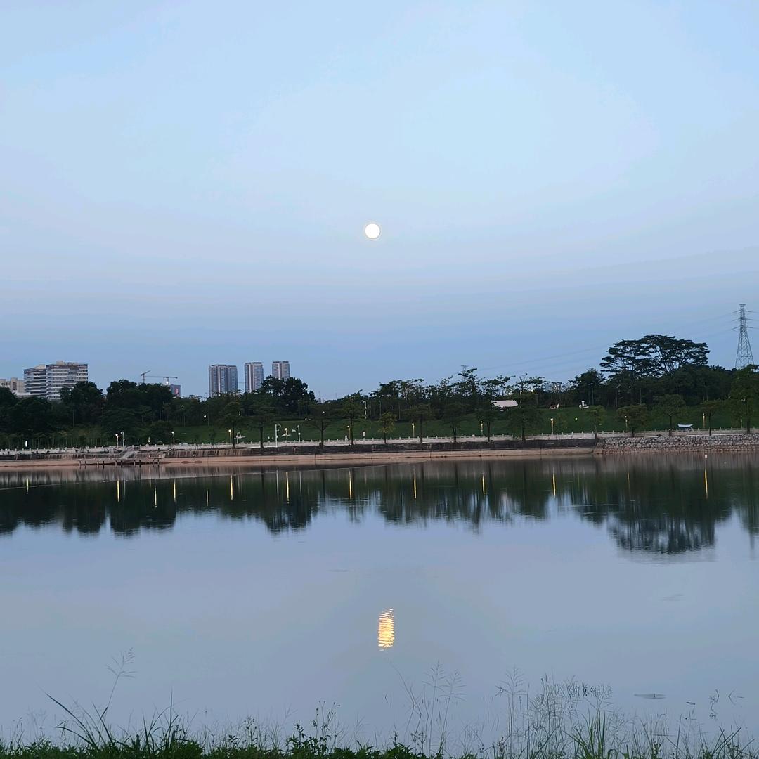 @DY琴