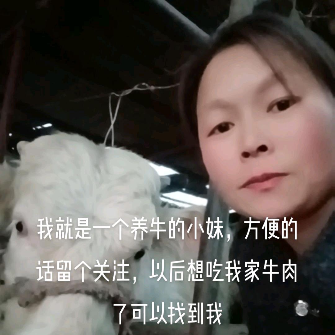 泌阳县定贤肉业门市