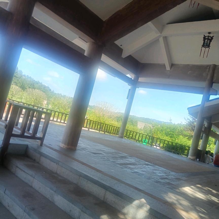 一切顺起自然💫