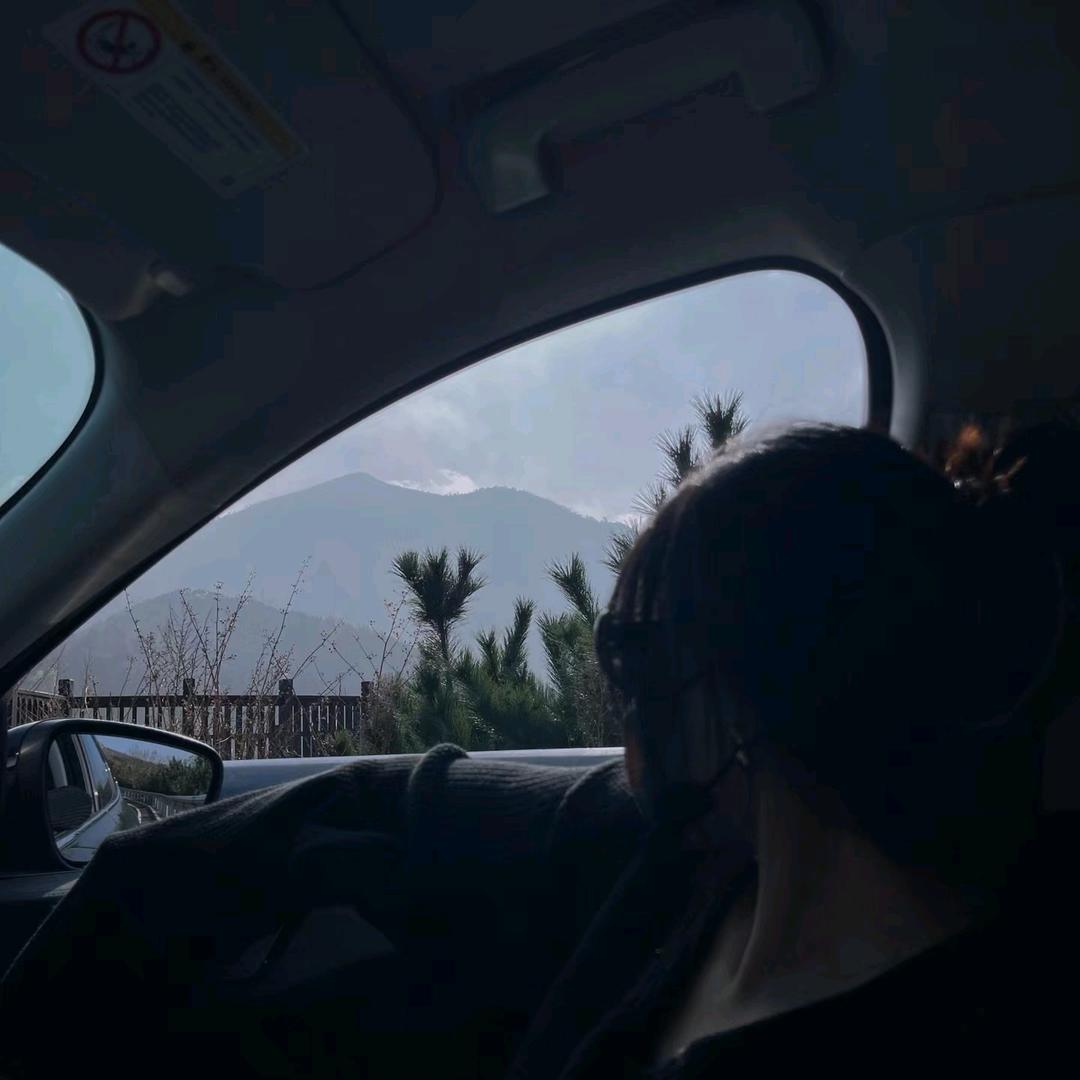 洋洋不洋务～