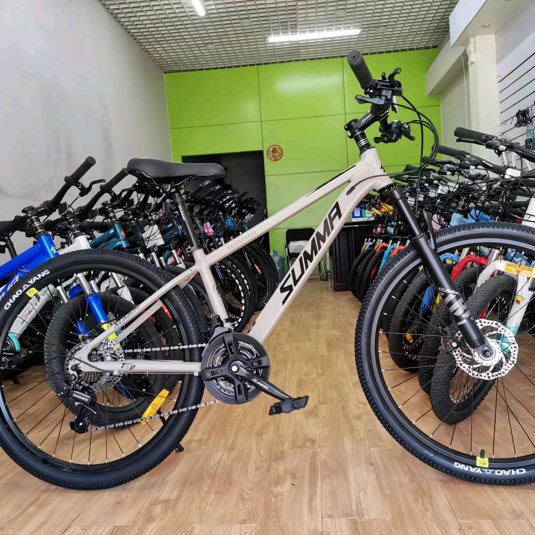 北极星自行车行