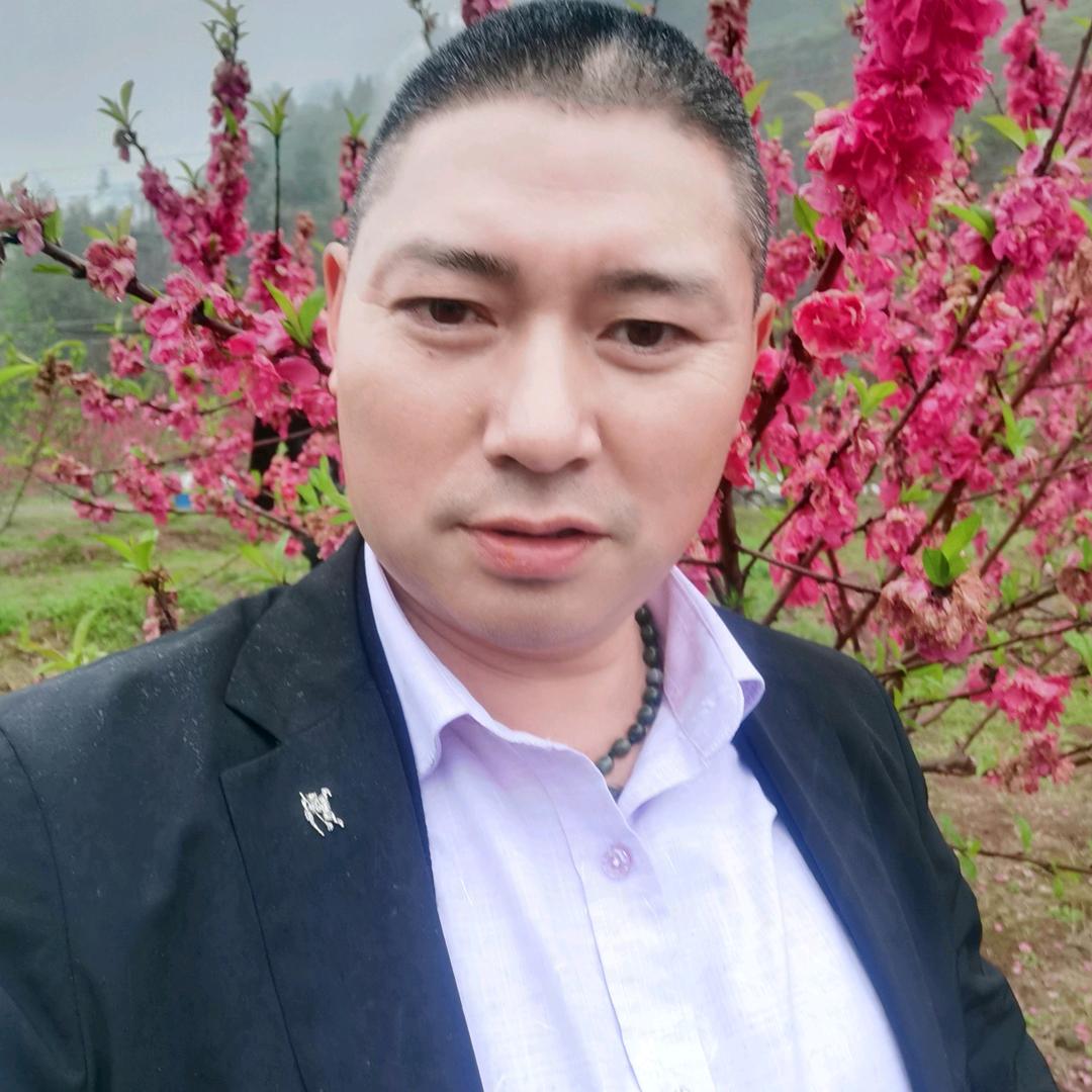高举