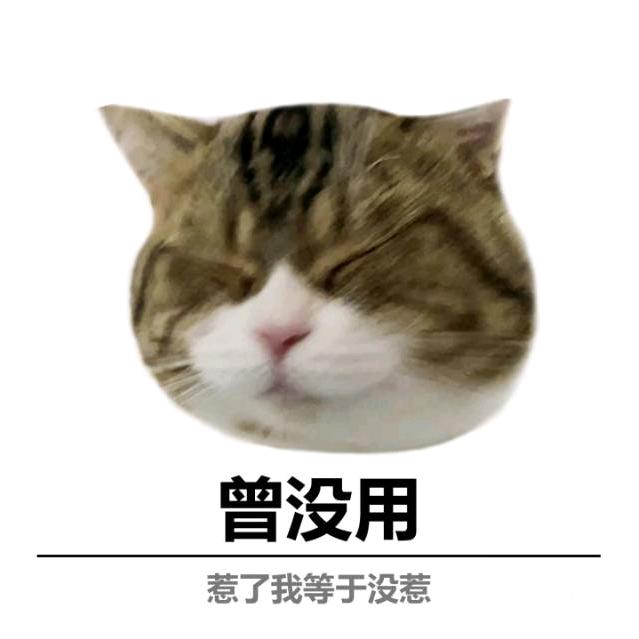 大花猫