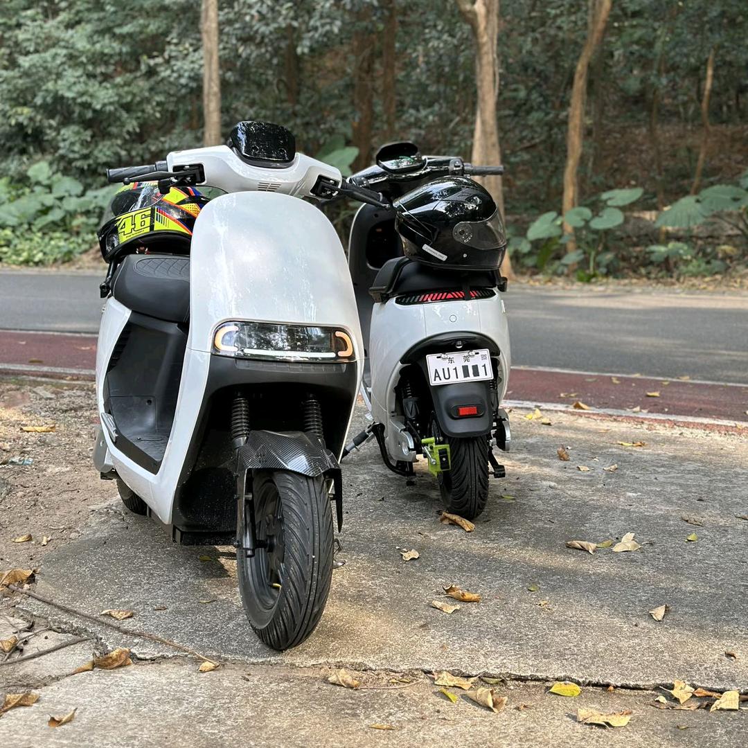 森林电动车有限公司