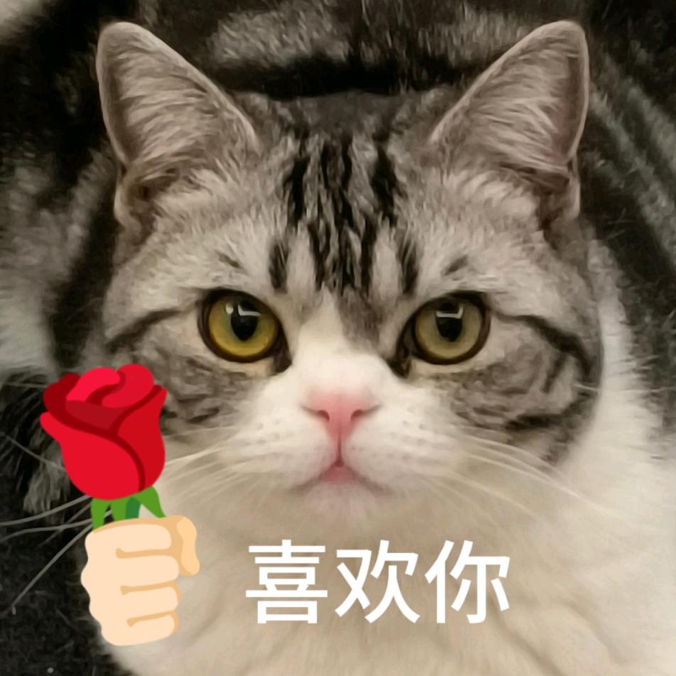 火酱🔥