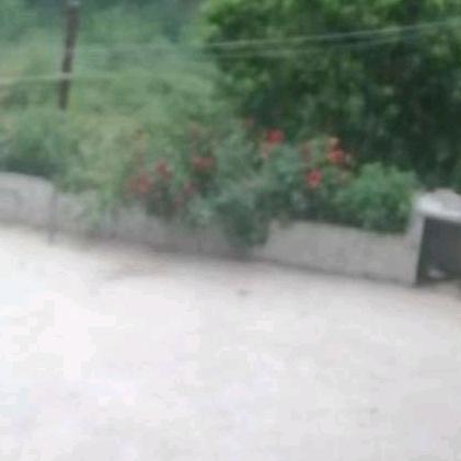 秋风扫落叶