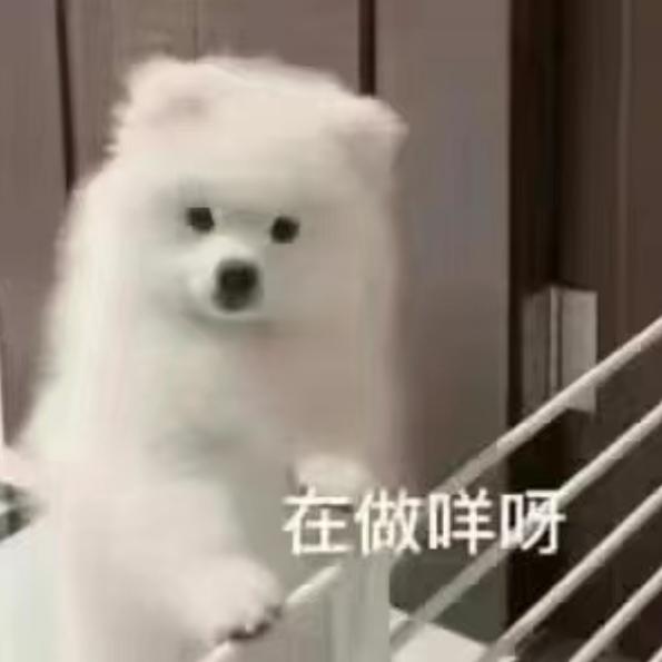 筷子谋杀人类