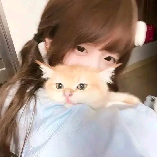 limint🐾
