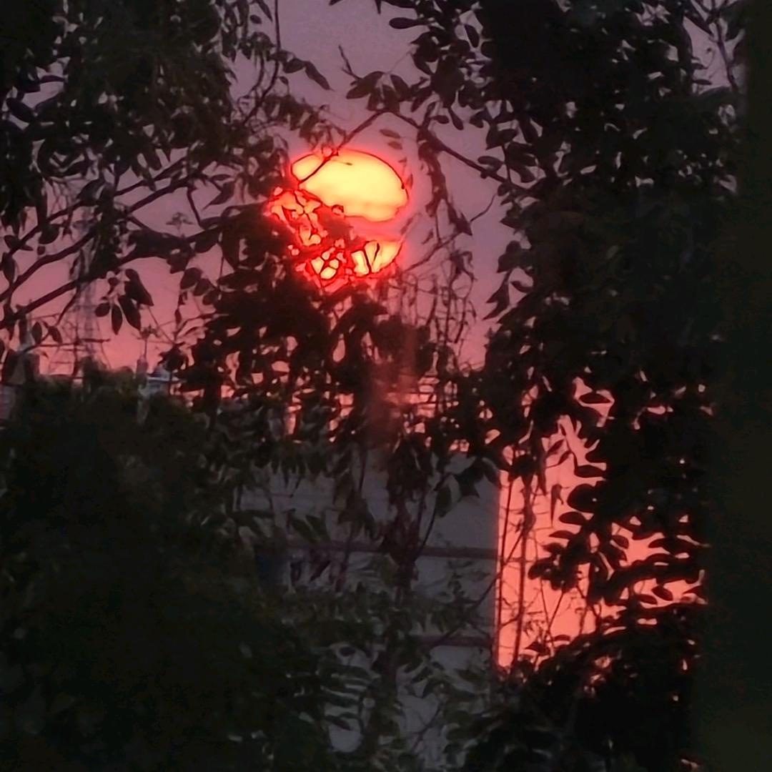 稀里胡涂（搬砖🧱）