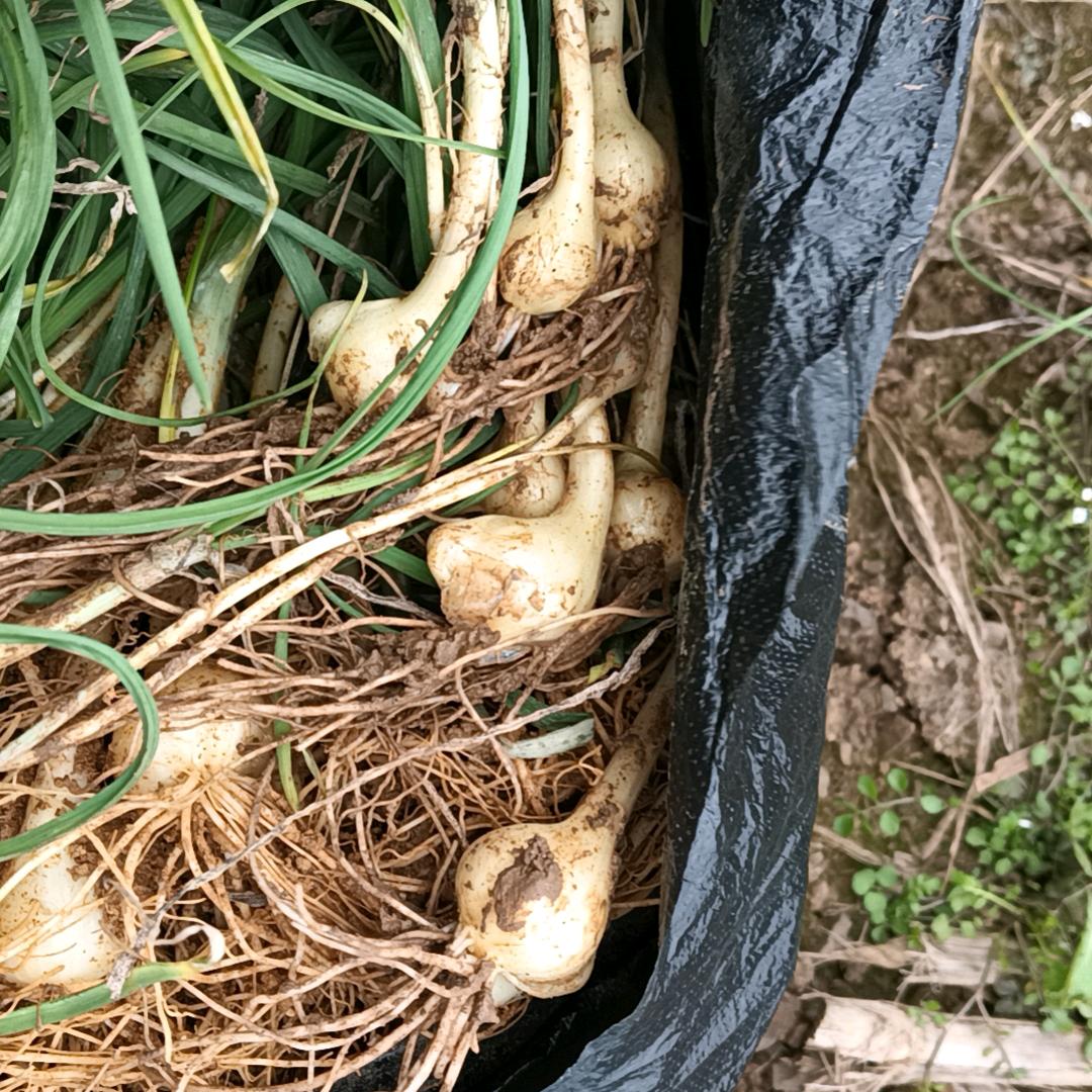 有来有去。
