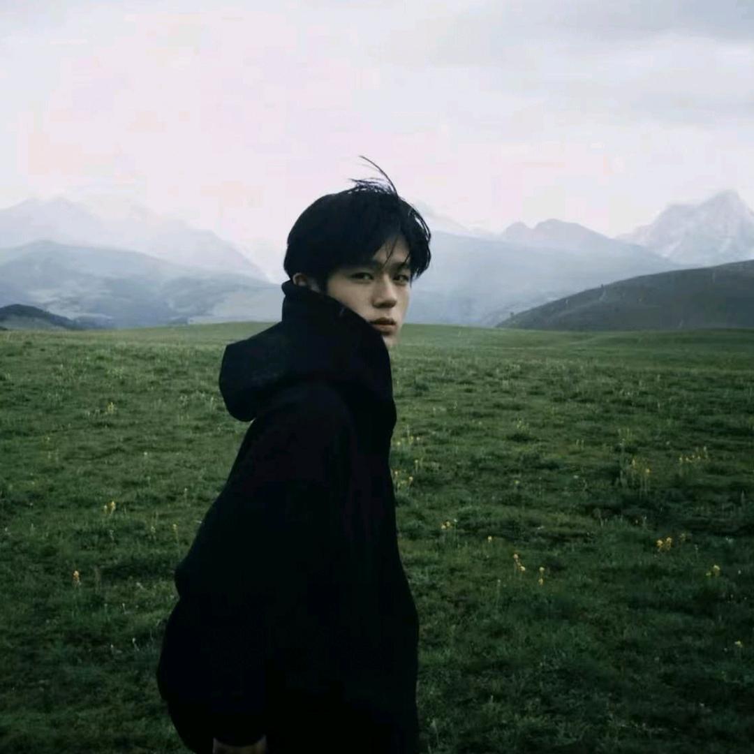 ox