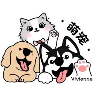 猫狗日记 宠物店