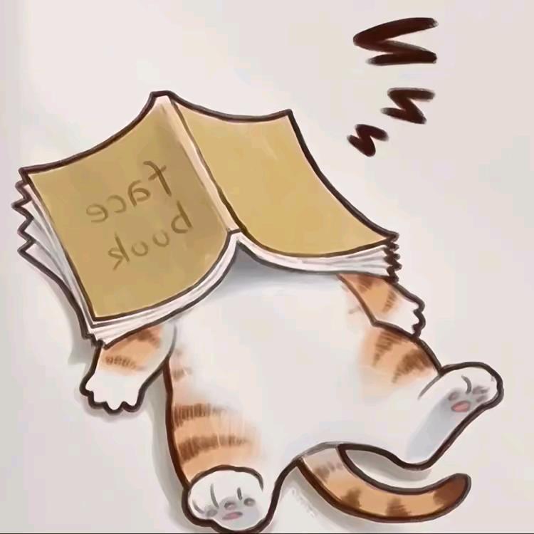 。。。。。。。。。。。。。。。。。。。。