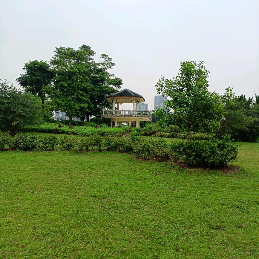 如果能有下辈子，那该多好