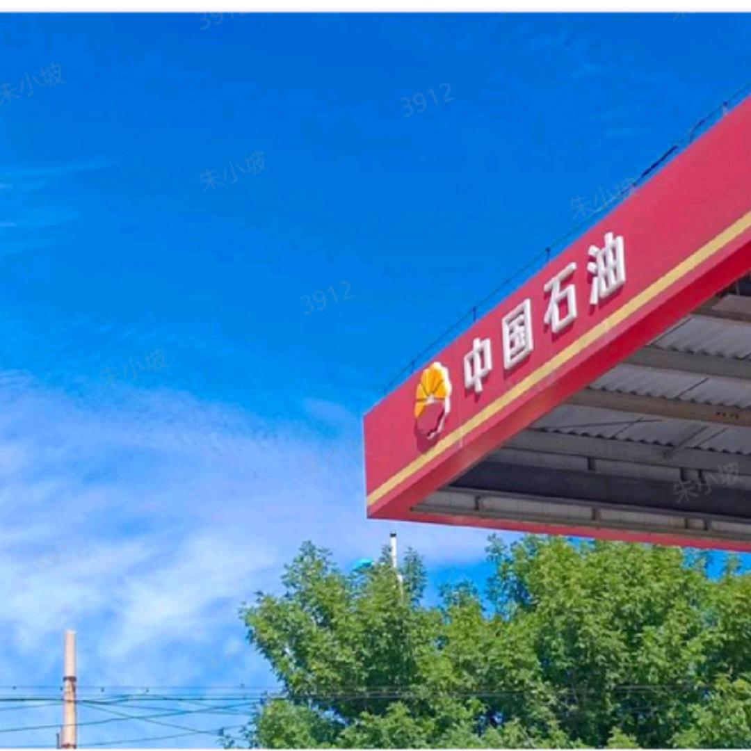中国石油衡水中华大街（31）