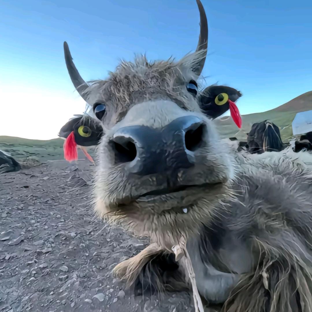 三观不同，互相尊重！