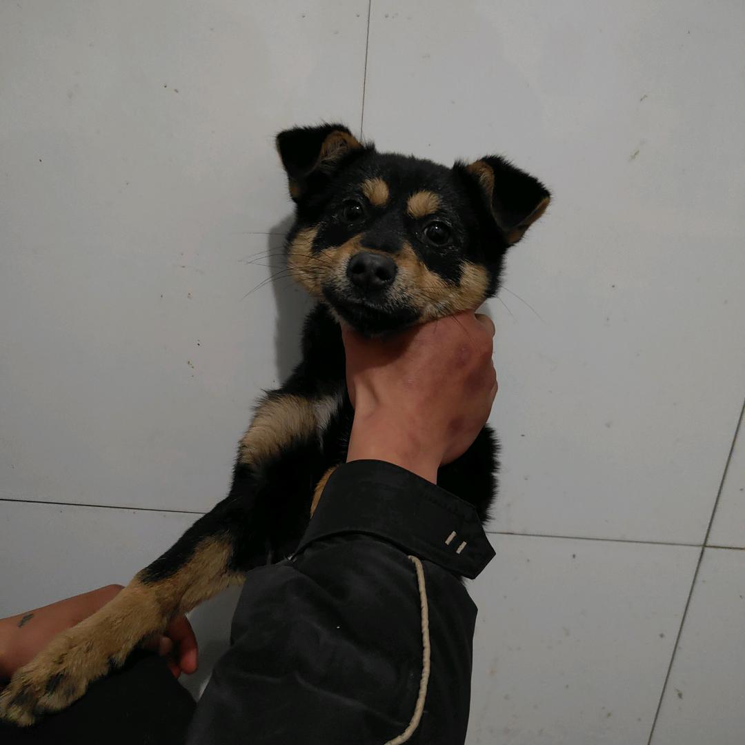 许家铭