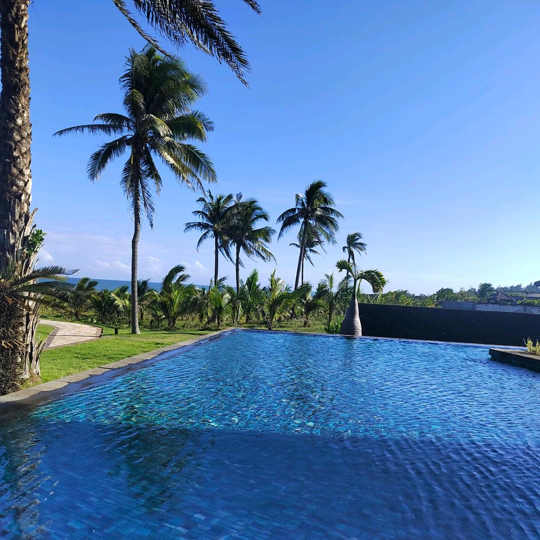 大米的养老生活