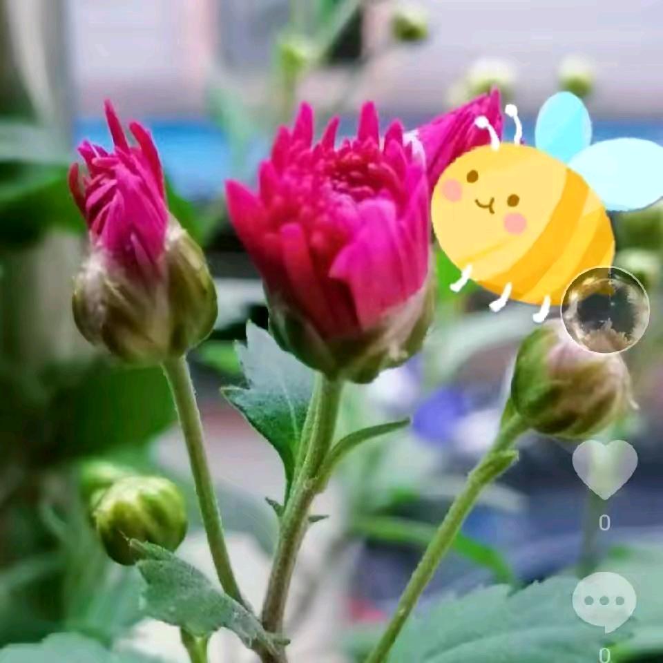 懂你