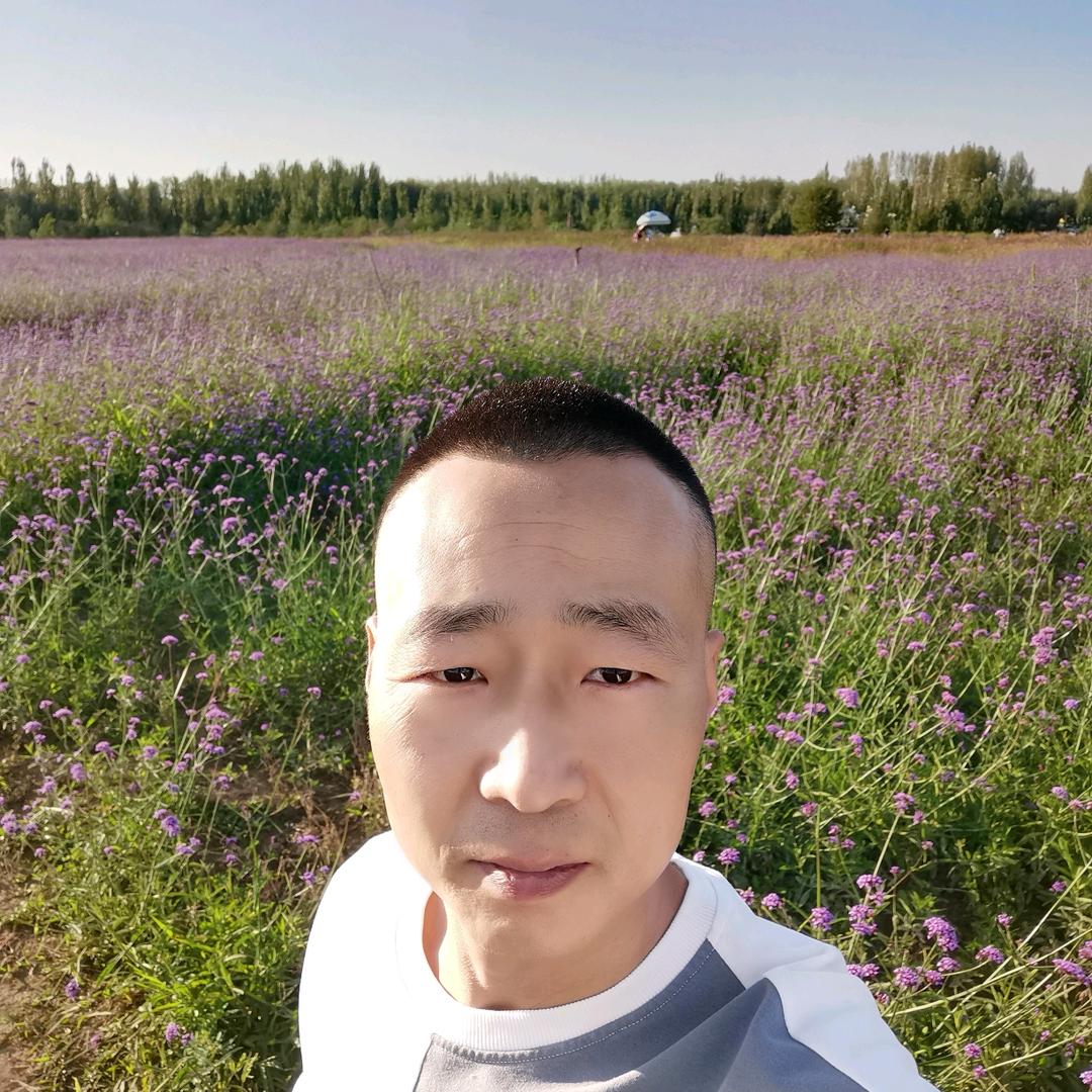 不会说理