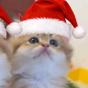 🌈adjnM🌙zVP🍀💫