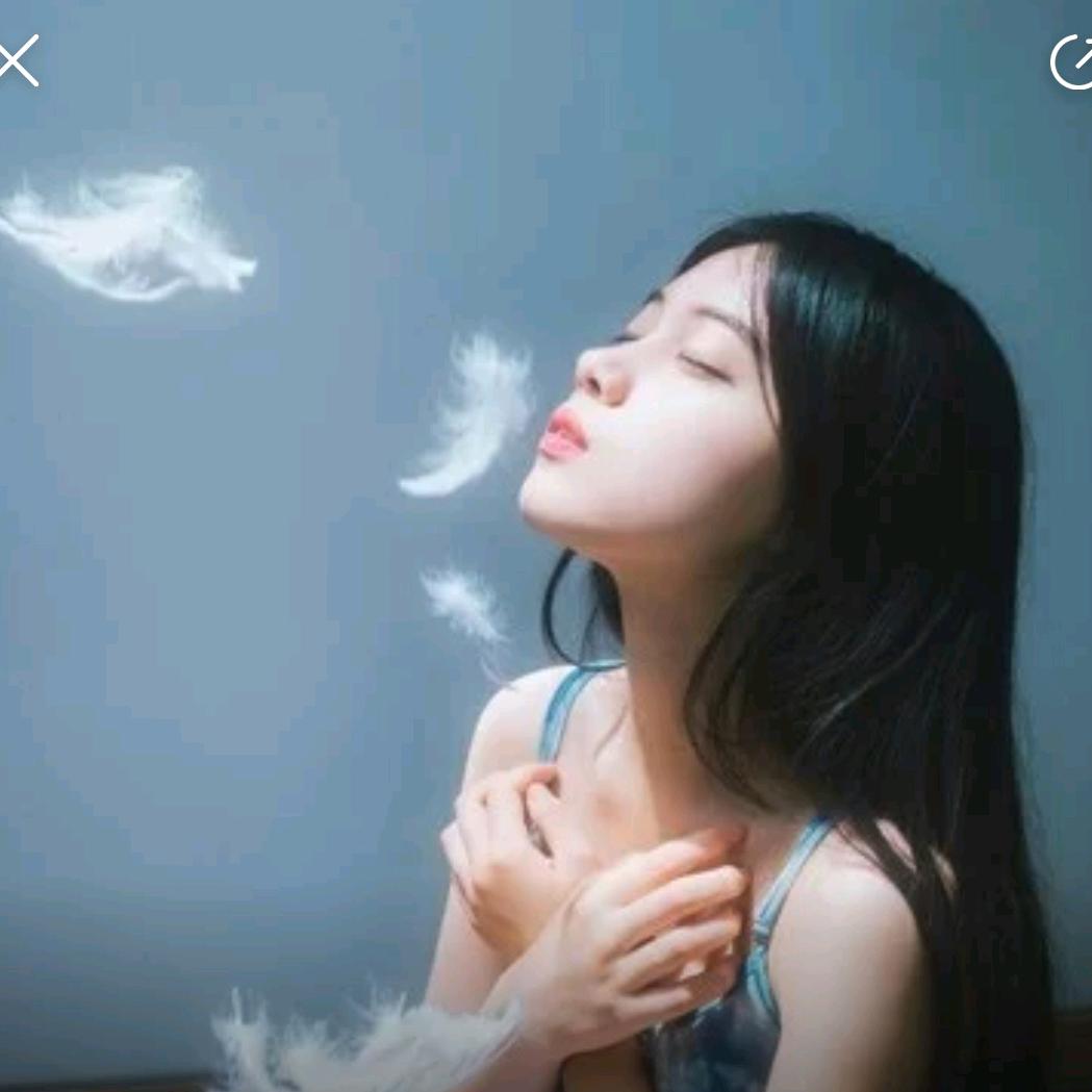 龙华岚庭吉商贸行