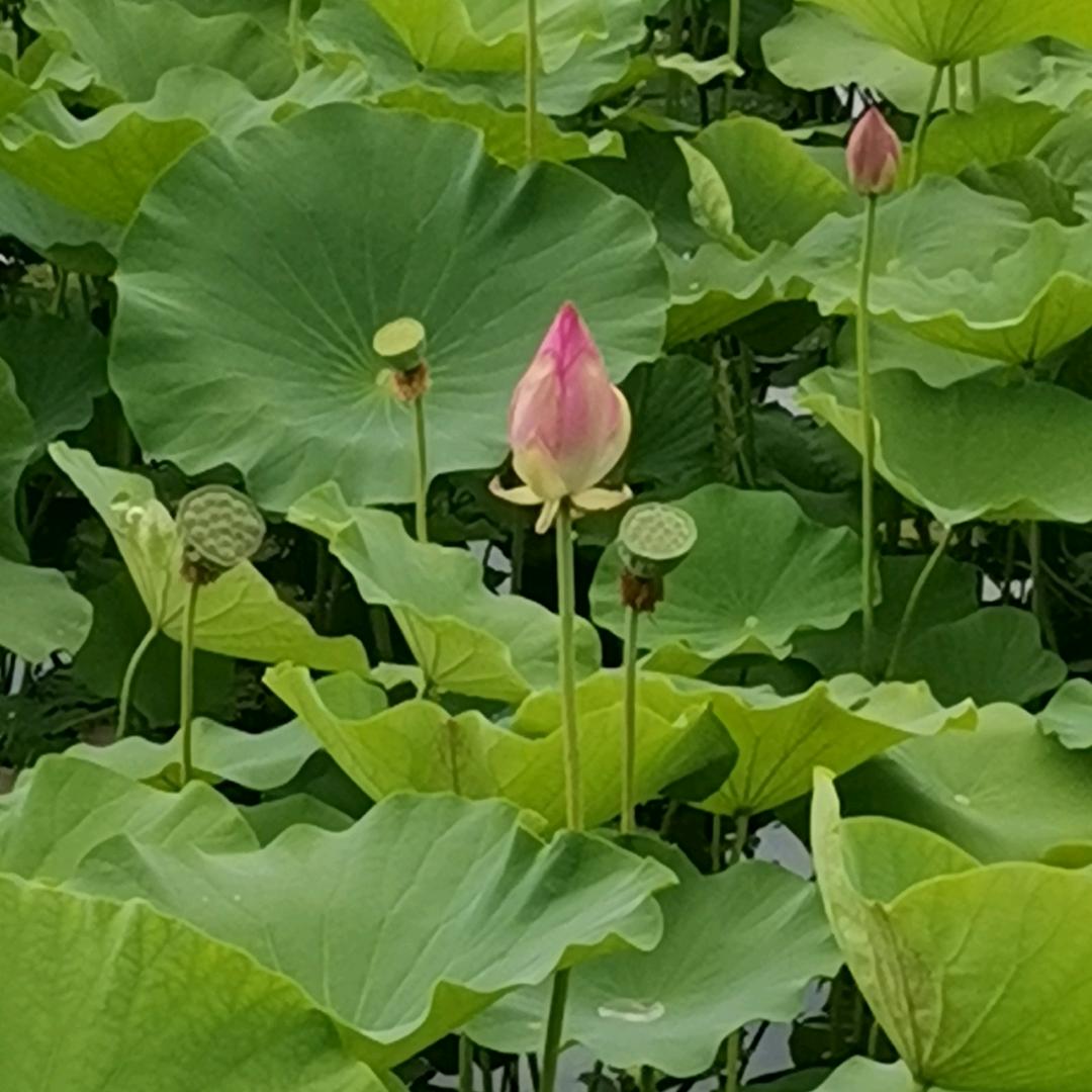 一生平安