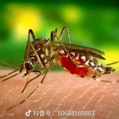 寂寞时候在海里玩泥巴