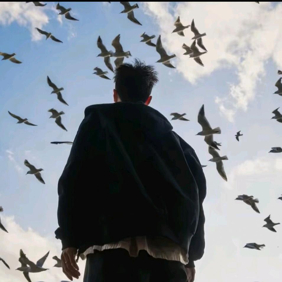 不会压弯的阿文