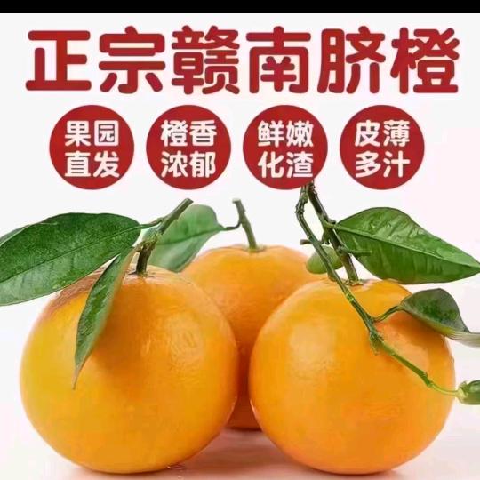 赣南脐橙批发零售