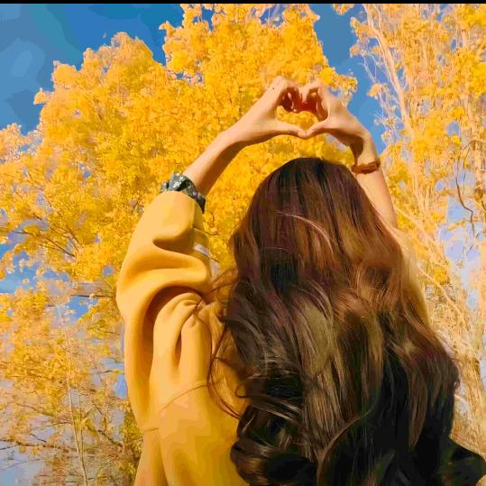 王你心上盖个张