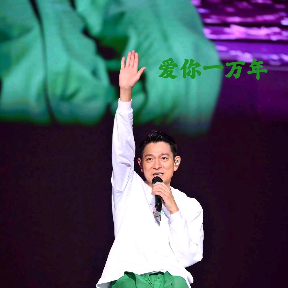 宋哥