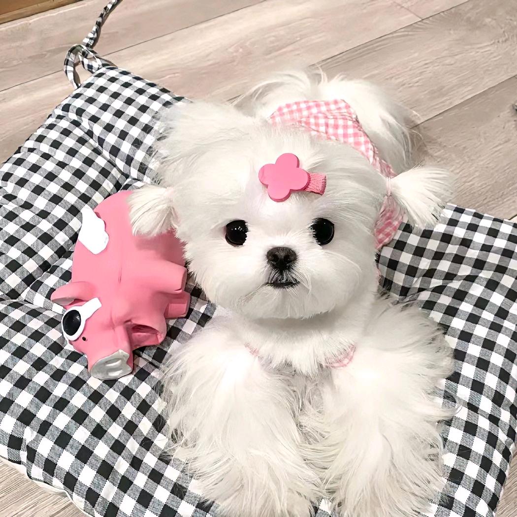 赚钱去看孙颖莎🥇