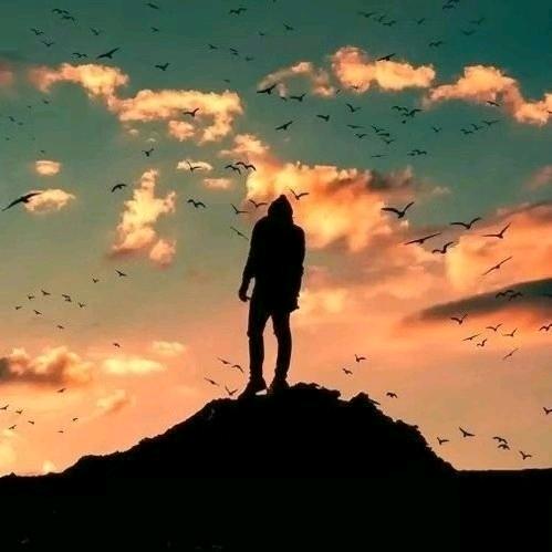 故人以北爱荒凉