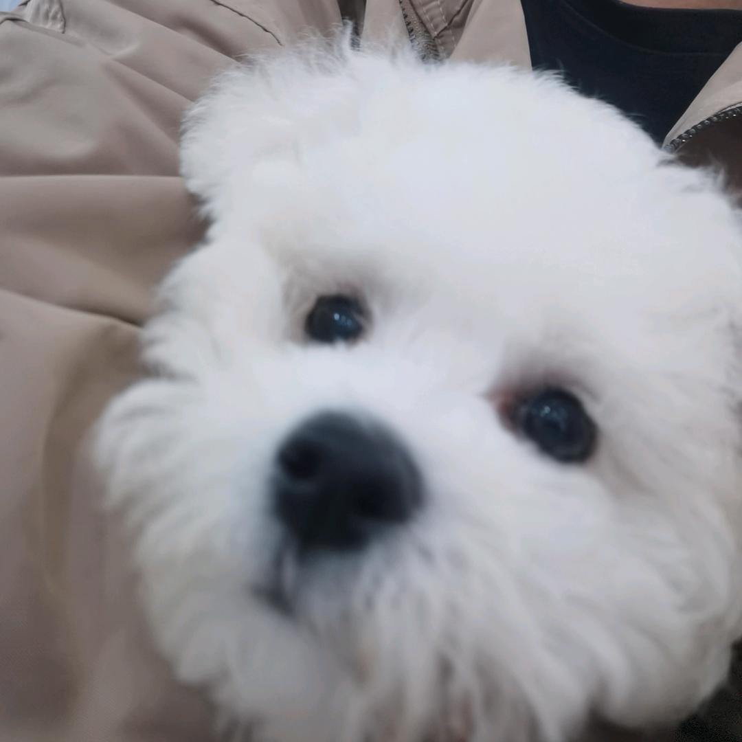 睿宝社会淘