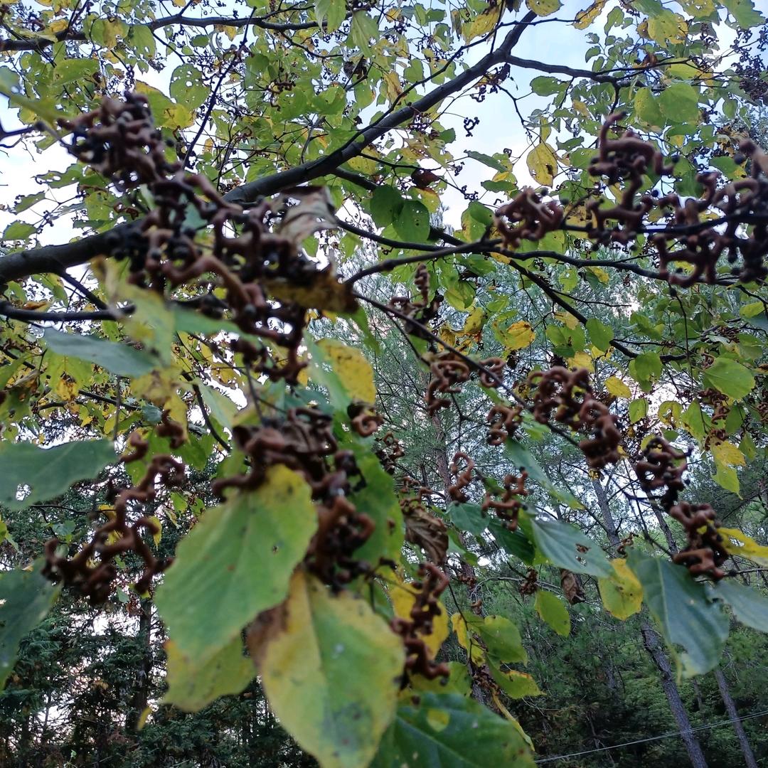 爱拼才会赢