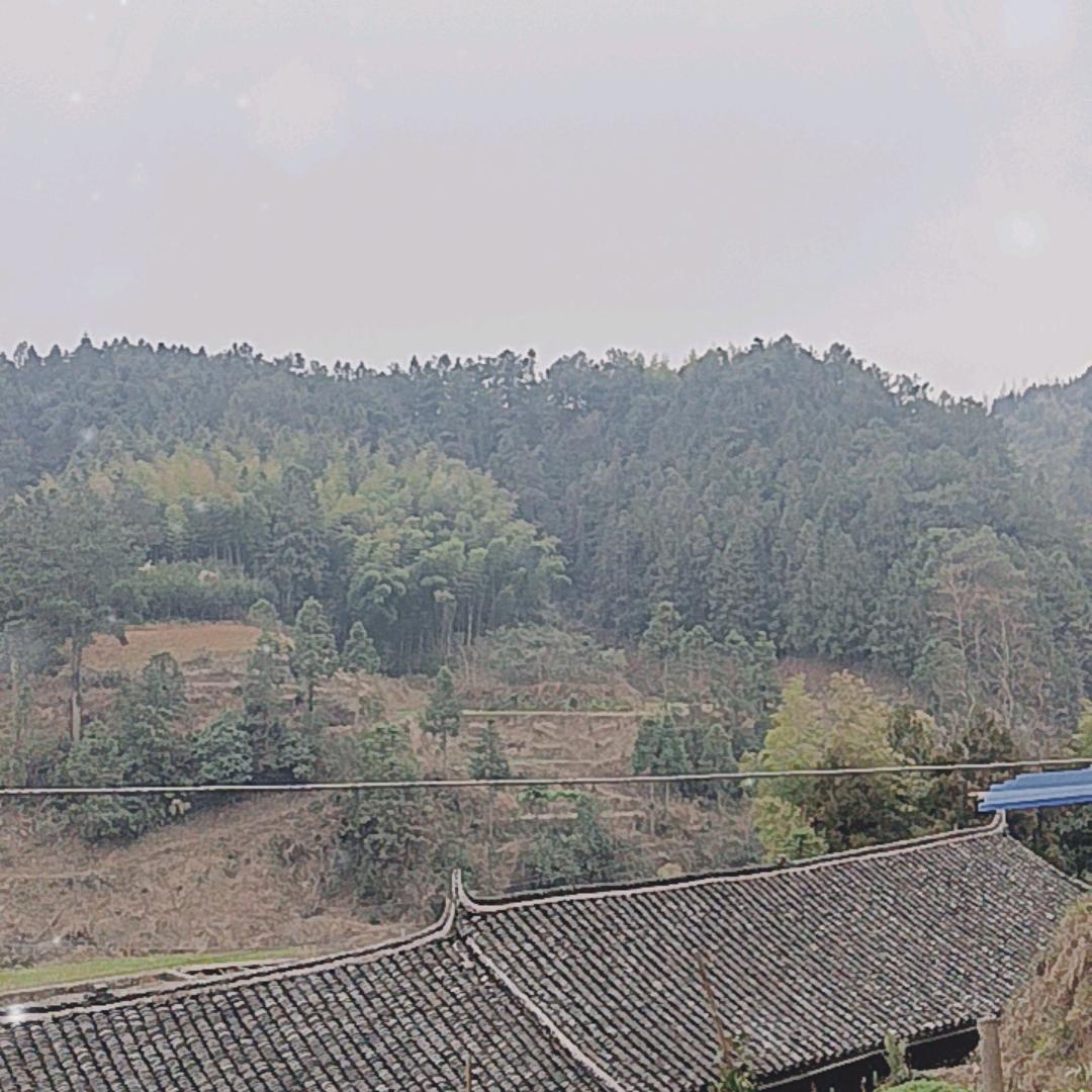 闯天涯