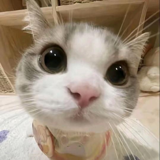 明天会更好