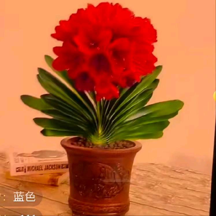 我是专业铺瓷砖改水电