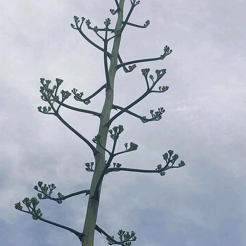人生一场