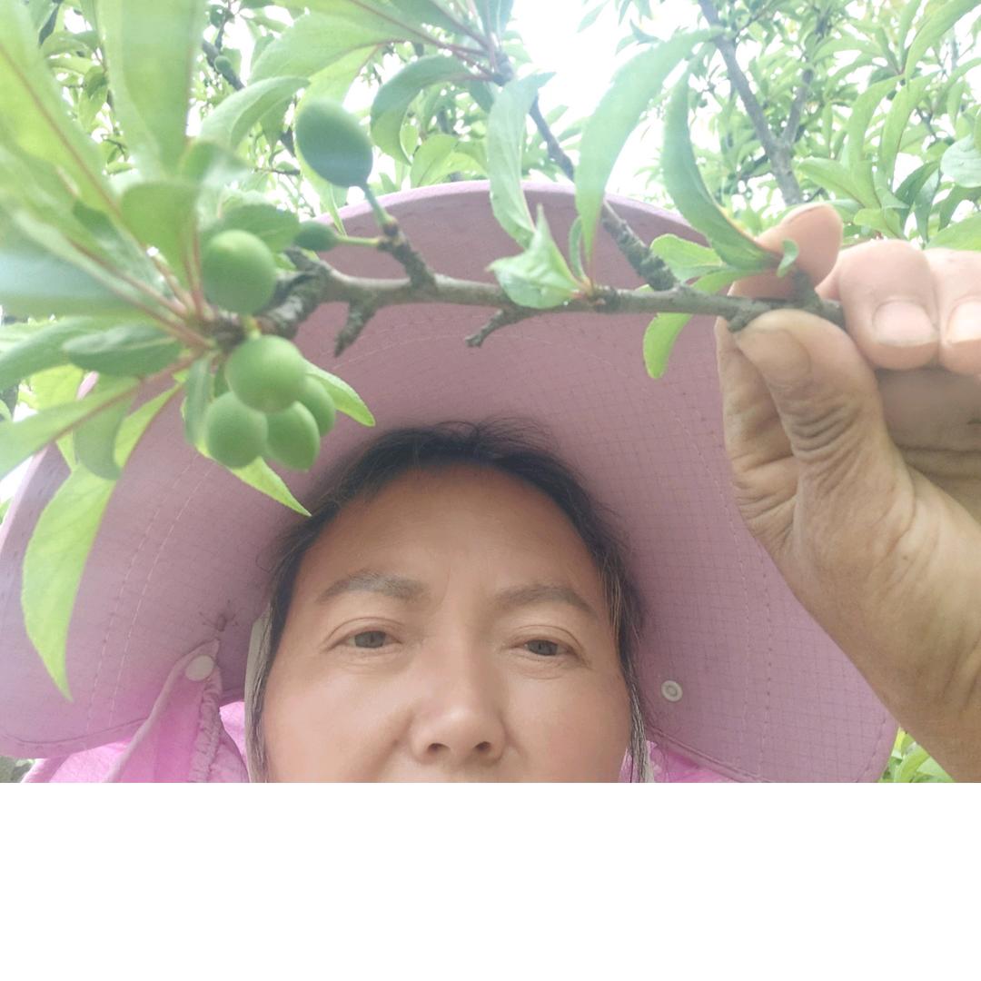 有苦无法说