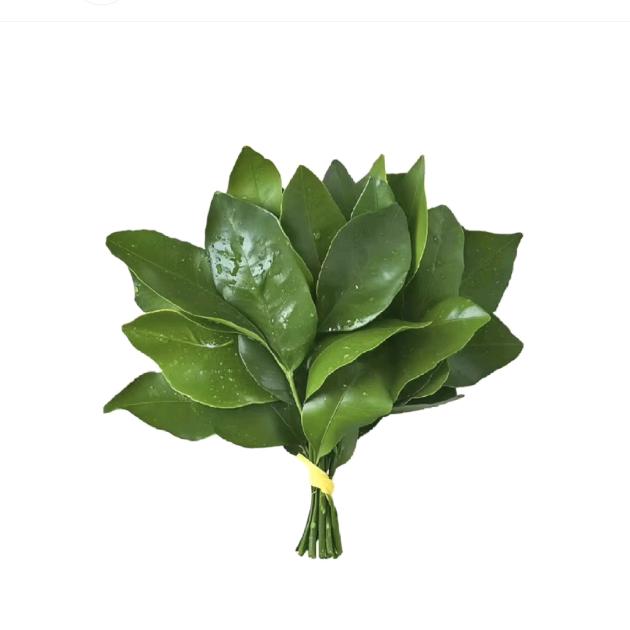 麻了个烫.