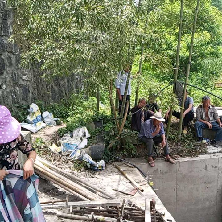 富在深山有远亲