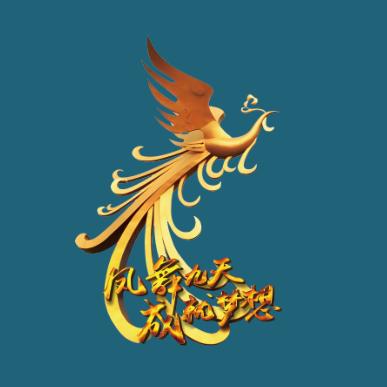 宁夏金凤羽爱行服务中心