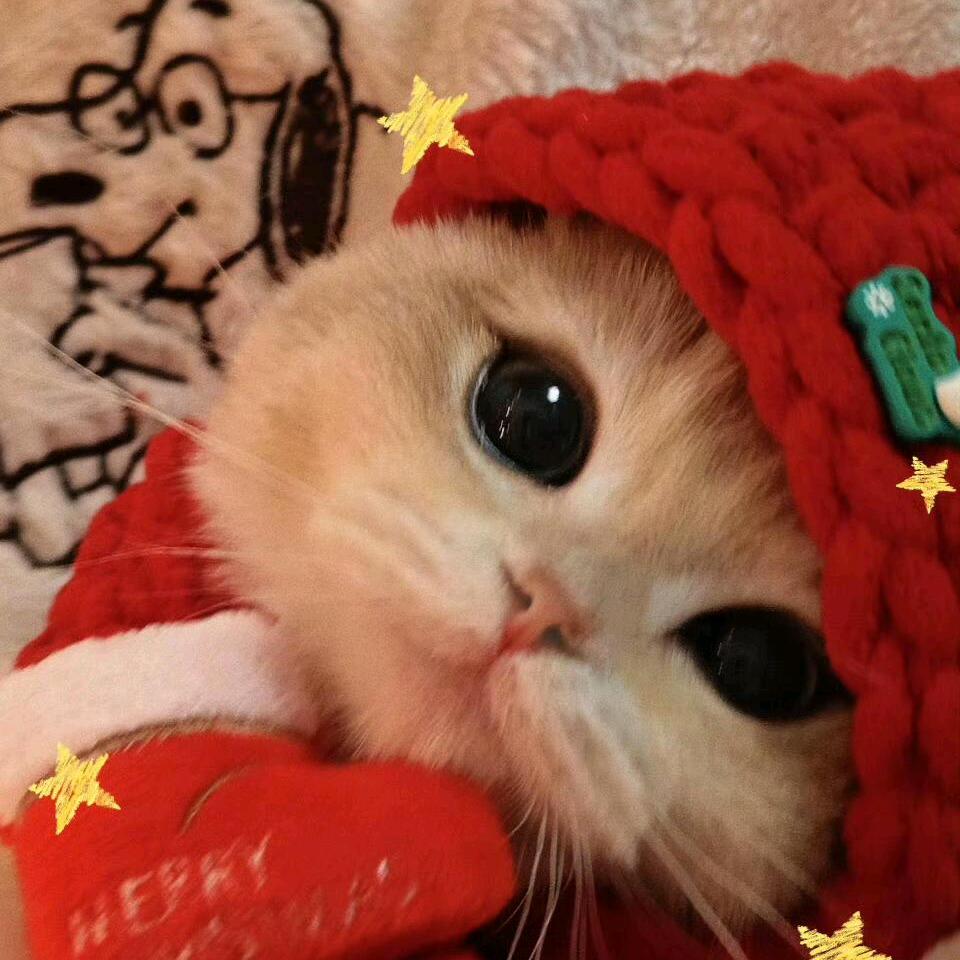 落月书灯