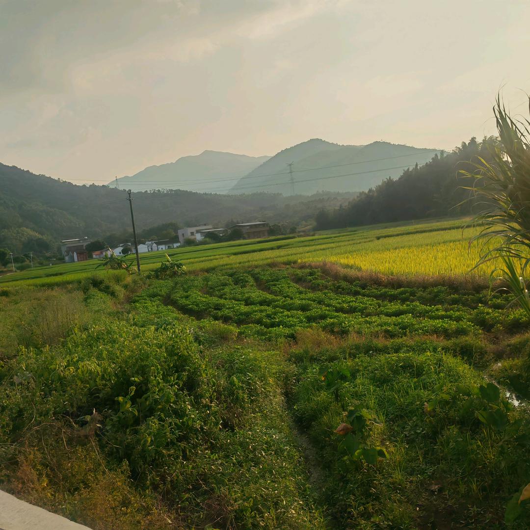 惠州市泽天实业有限公司