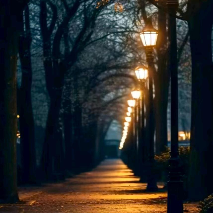 ៚᭄自若ॣ࿐ᩚ