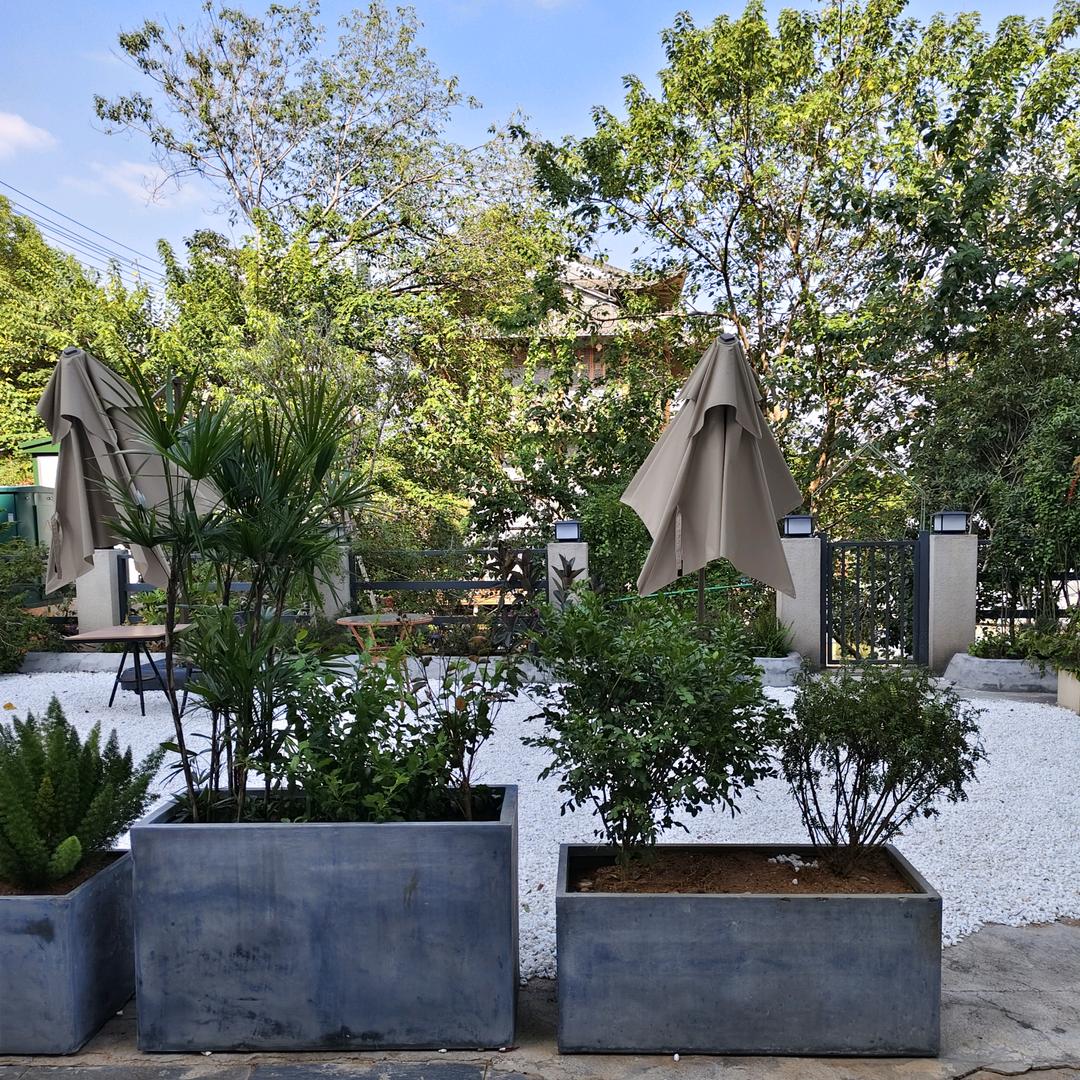 西西（晚上7.00开播）