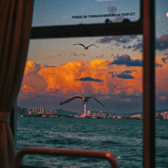湮尘