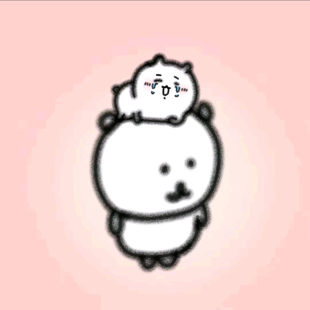白渡花.